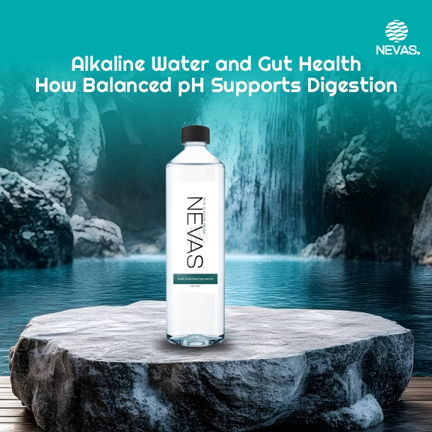 Alkaline Water and Gut Health How Balanced pH Supports Digestion Blog Banner
