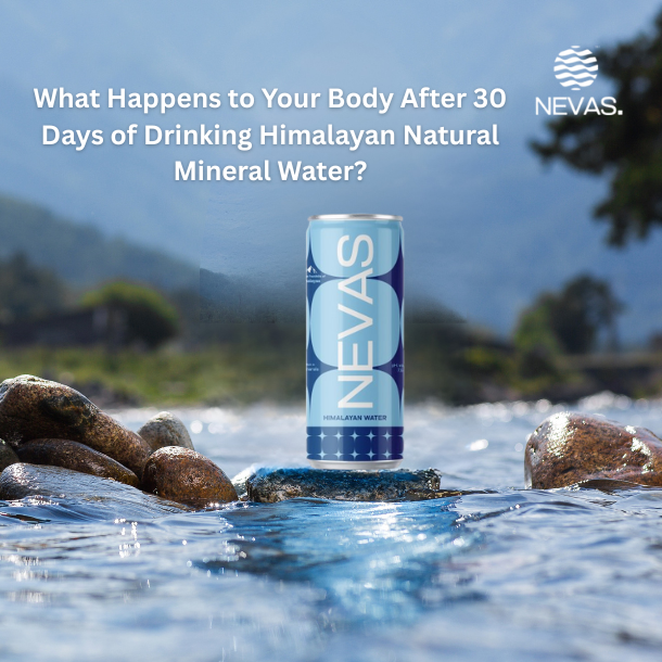 What Happens to Your Body After 30 Days of Drinking Himalayan Natural Mineral Water Blog Banner